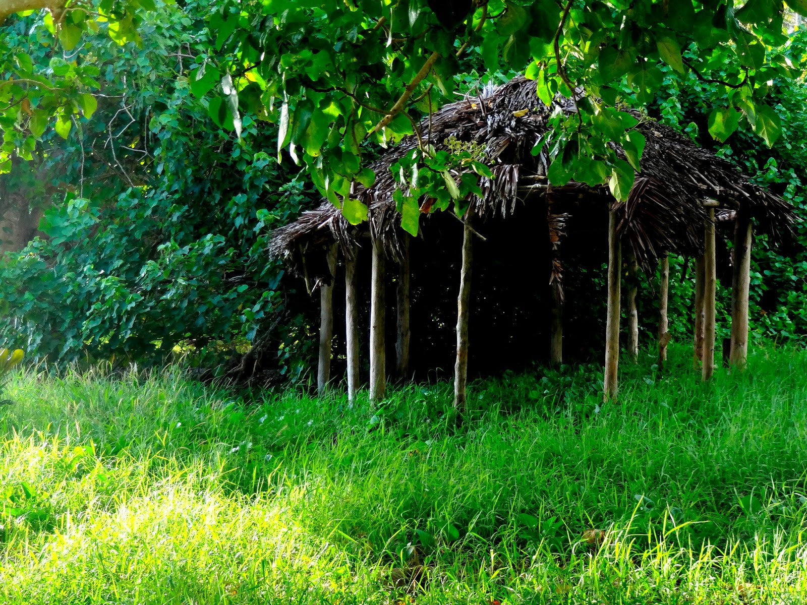 Spirit of Samoa: My Life in Photos