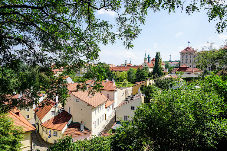 EthnoPassion na aukcji WOŚP
