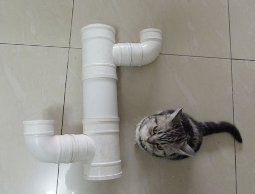 Meow Cat Com Diy Floor To Ceiling Cat Tree