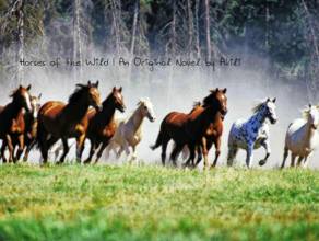 Horses of the Wild | An Original Novel