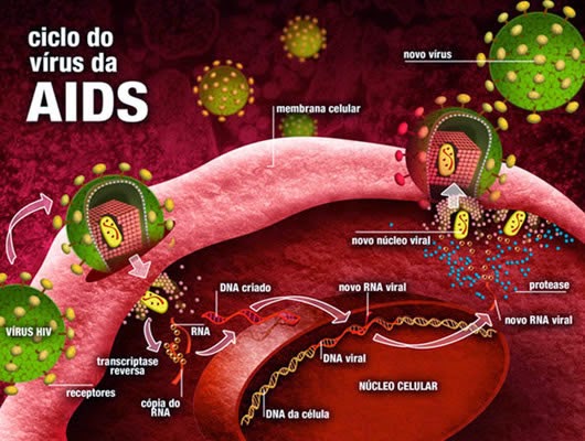 HIV / AIDS: Introdução