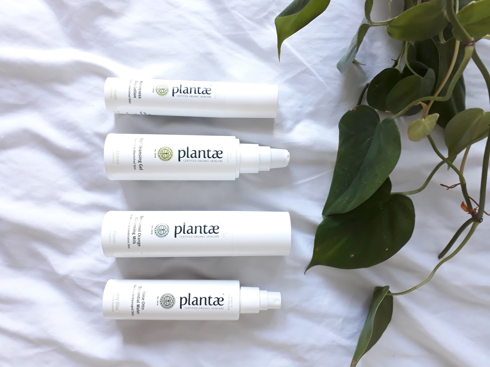 plantae skincare