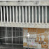 Ιωάννινα: Bανδαλισμός  στην πρόσοψη του κτιρίου της Τράπεζας της Ελλάδας 