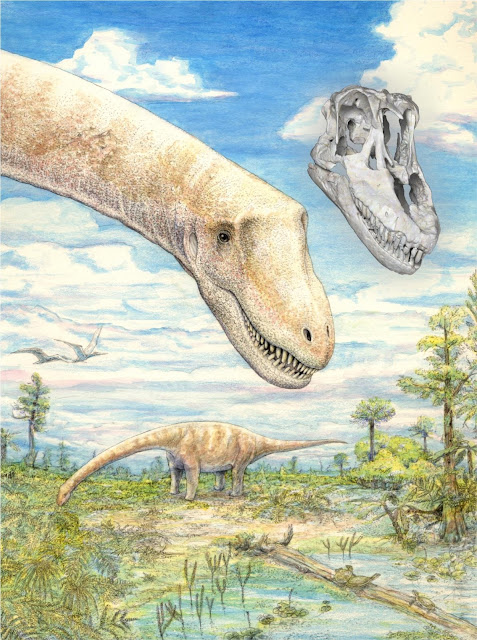Newly discovered titanosaurian dinosaur from Argentina, Sarmientosaurus Newly discovered titanosaurian dinosaur from Argentina, Sarmientosaurus