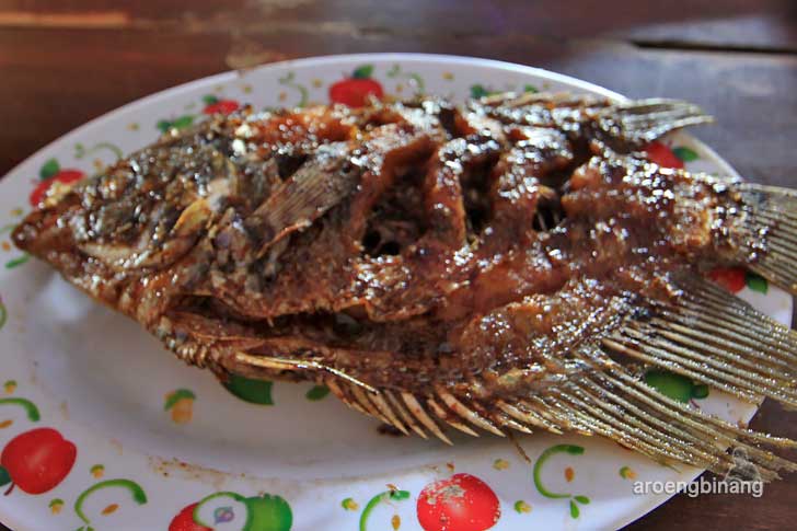 rm tirta alam karanggondang pekalongan
