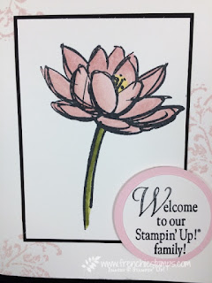 Remarkable You Get over $250 of Stampin'Up! product for $99, Stampin'Up! Free Shipping