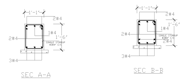 Sections of RCC Beam Sections of RCC Beam