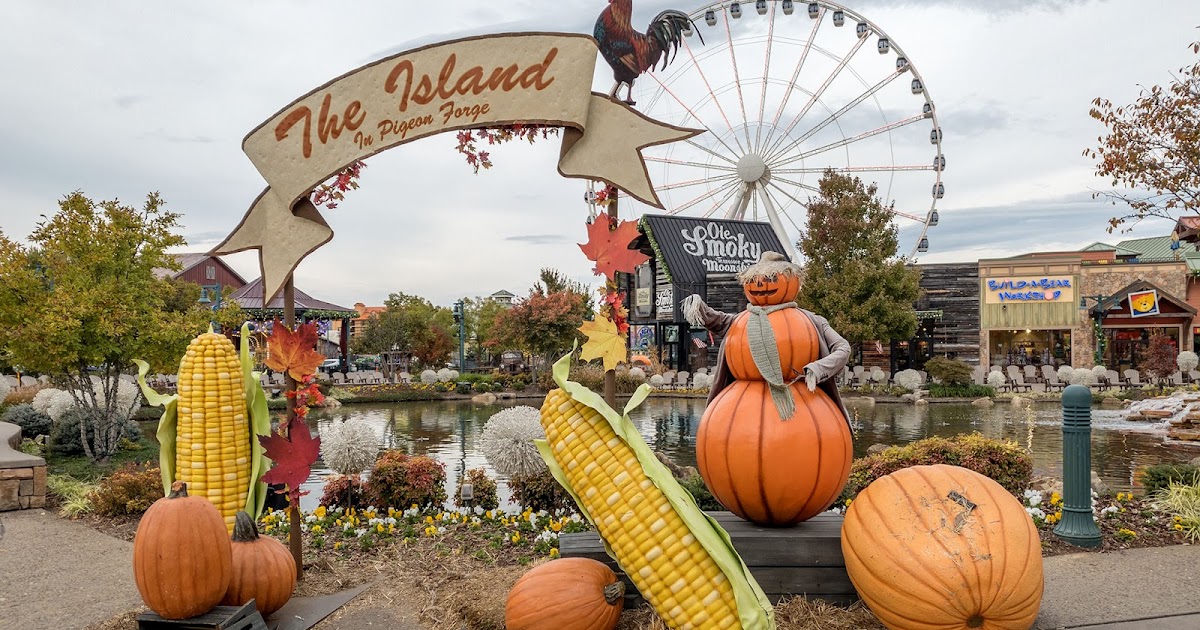 Bubba's Garage Photos from The Island Pigeon