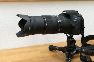 MACRO 105mm F2.8 EX DG OS HSM + HA680-01 + LH680-04 SIGMA MACRO 105mm F2.8 EX DG OS HSM + HA680-01 + LH680-04