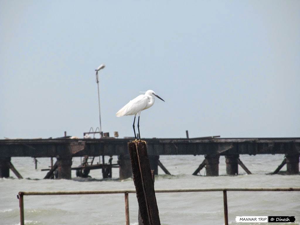 IMG_1352_edited.jpg