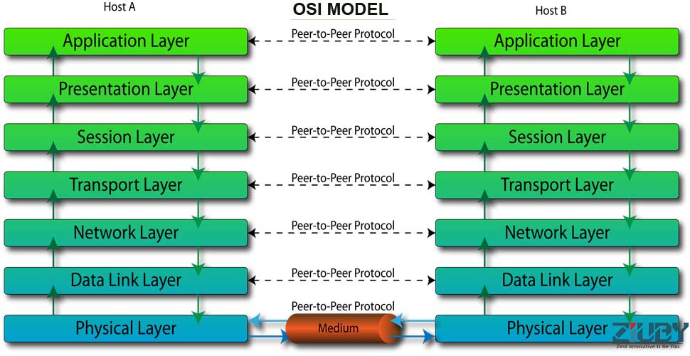 Protocol host. Osi модель data link layer. Osi модель transport layer. Osi модель physical layer. Osi модель presentation layer.