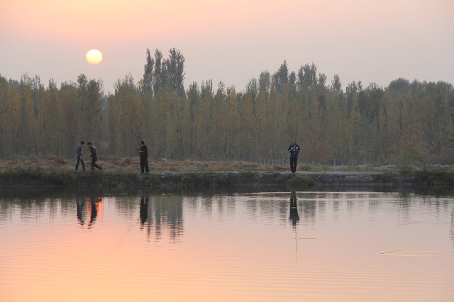 Ouzbékistan, Ferghana, étangs piscicoles d'Alisher, Zafar, © L. Gigout, 2012