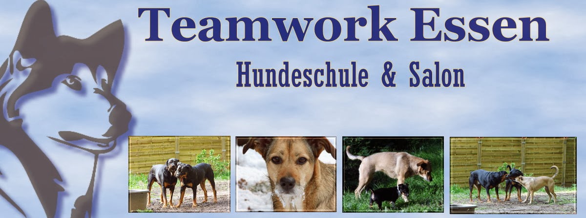 Teamwork Essen 