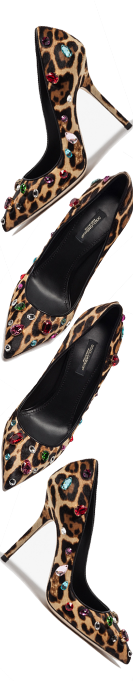 DOLCE & GABBANA Bellucci Leopard Embellished Pumps