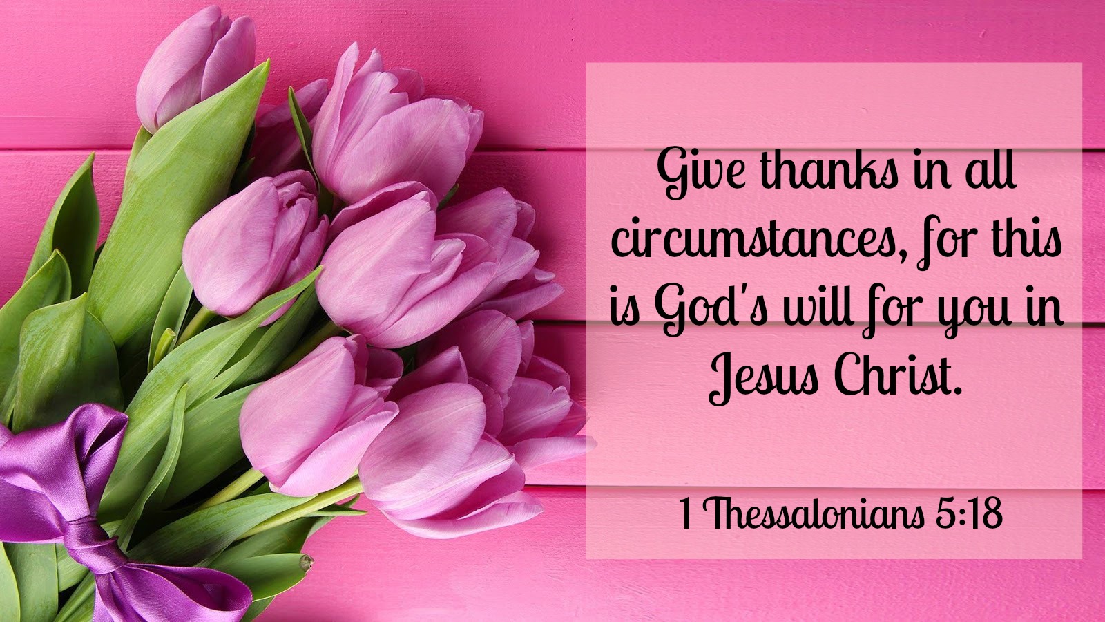 Sunday Scripture + Thoughts