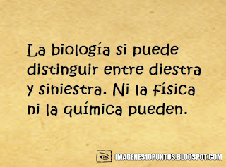 frases de quimica frases de quimica