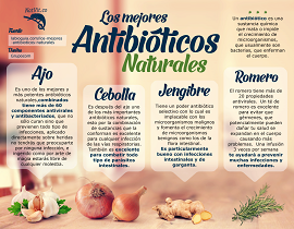 antibioticos naturales Remedios naturales