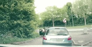 GIF.gif