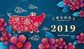 2019:The Year Of the Pig