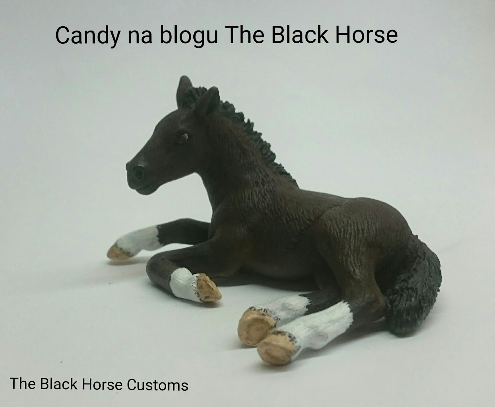 Ann's Horse Passion 10 Candy u The Black Horse!
