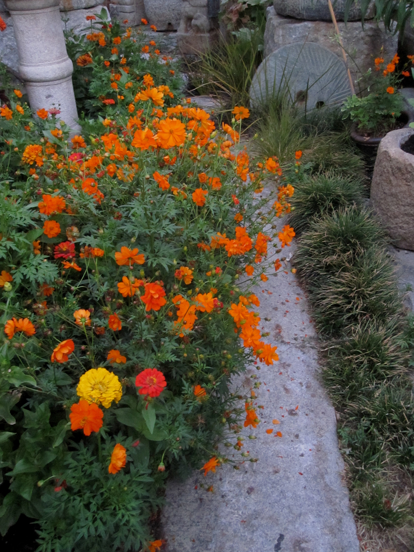 paradis express Cevan Forristt