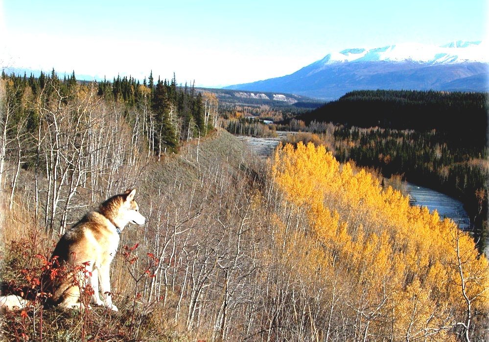 Kenny Lake, Alaska Kenny Lake