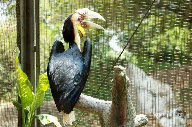 taman burung tmii jakarta