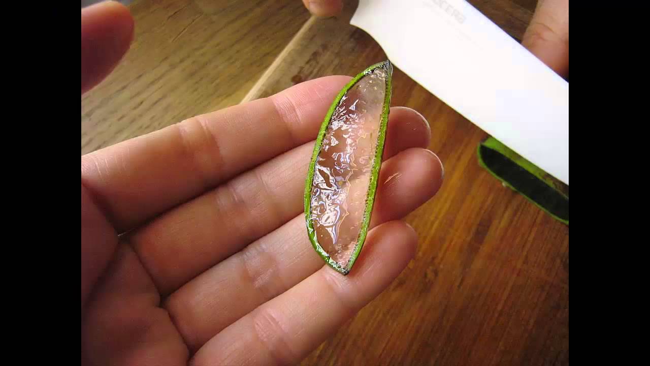 remedios caseros psoriasis cuero cabelludo remedios caseros para la psoriasis elimina la psoriasis remedios caseros psoriasis cuero cabelludo remedios caseros para la psoriasis elimina la psoriasis