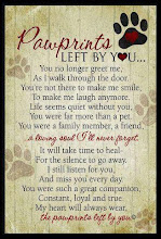 Pawprints Left by You