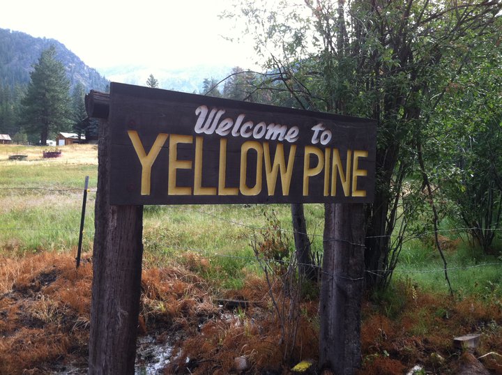 Chris Bauer Music Yellow Pine Harmonica Festival and Competition