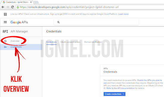 Membuat Short URL Otomatis Dengan Google API