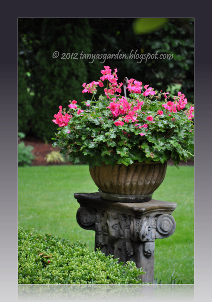 MySecretGarden: My Garden Accessories