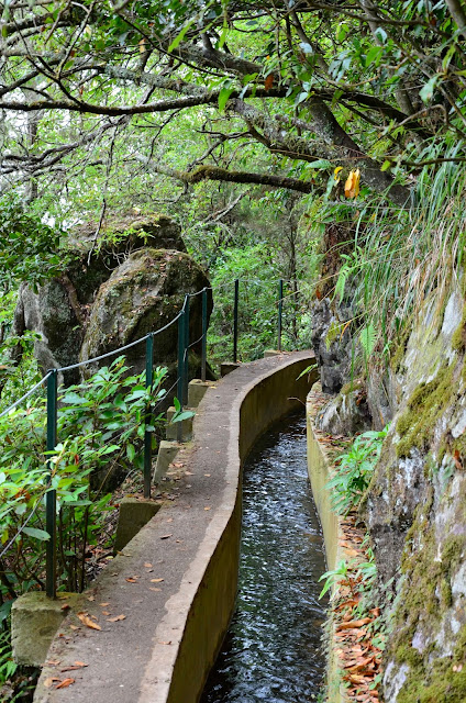 Blog Apaixonados por Viagens - Ilha da Madeira - Portugal - O que fazer - Ecoturismo