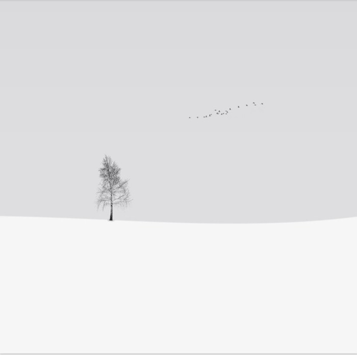 Черно-белые фотографии. Hossein Zare 15