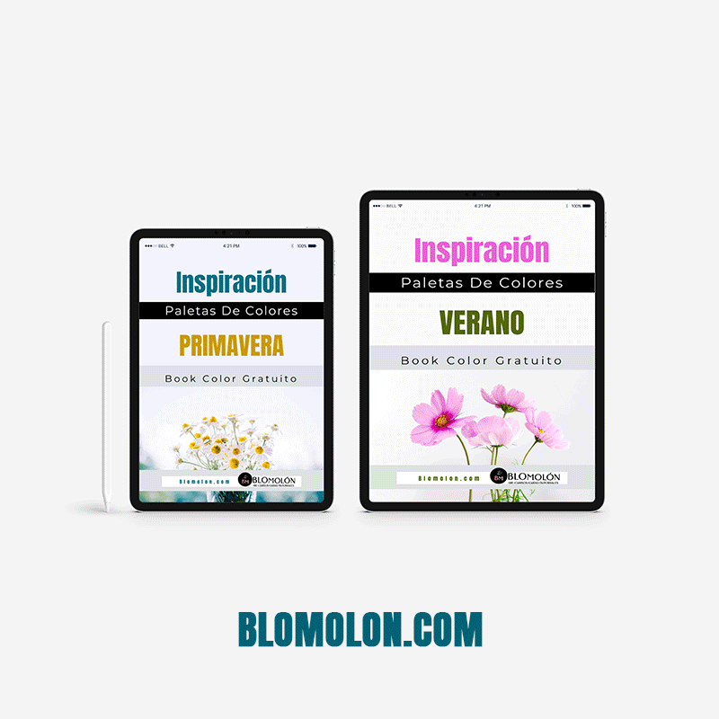 previa book color previa_book_color