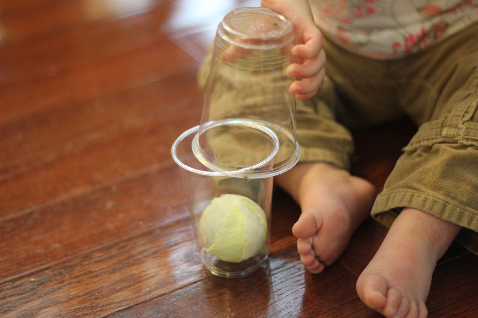 Toddler Approved!: Two Simple Ball Activities for Toddlers