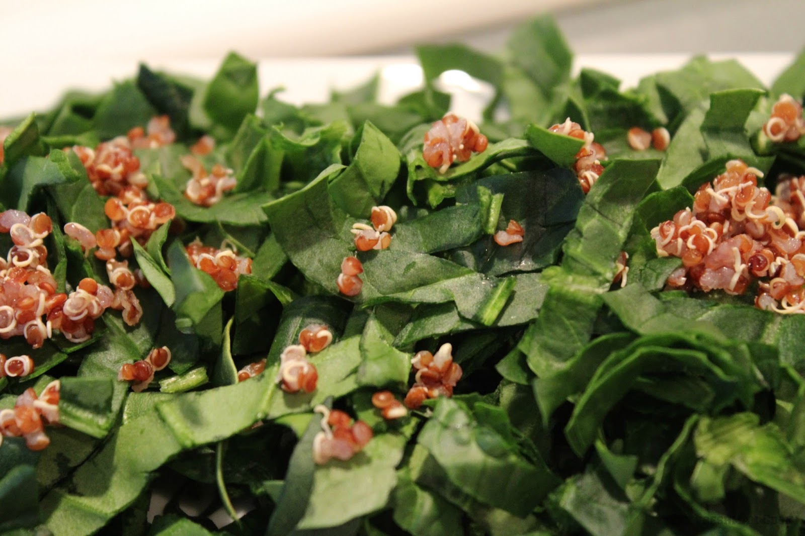 The Freshman Cook Orange & Walnut Baby Spinach Salad w/Quinoa & a