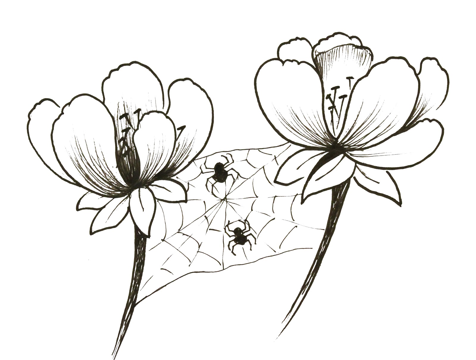 It's just a picture of Zany Small Flower Drawing It's just an image of Zany Small Flower Drawing