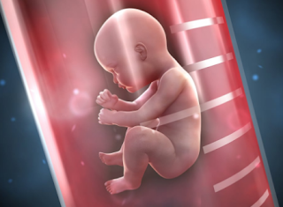 7 Cara Meningkatkan Keberhasilan Proses Bayi Tabung 7 Cara Meningkatkan Keberhasilan Proses Bayi Tabung
