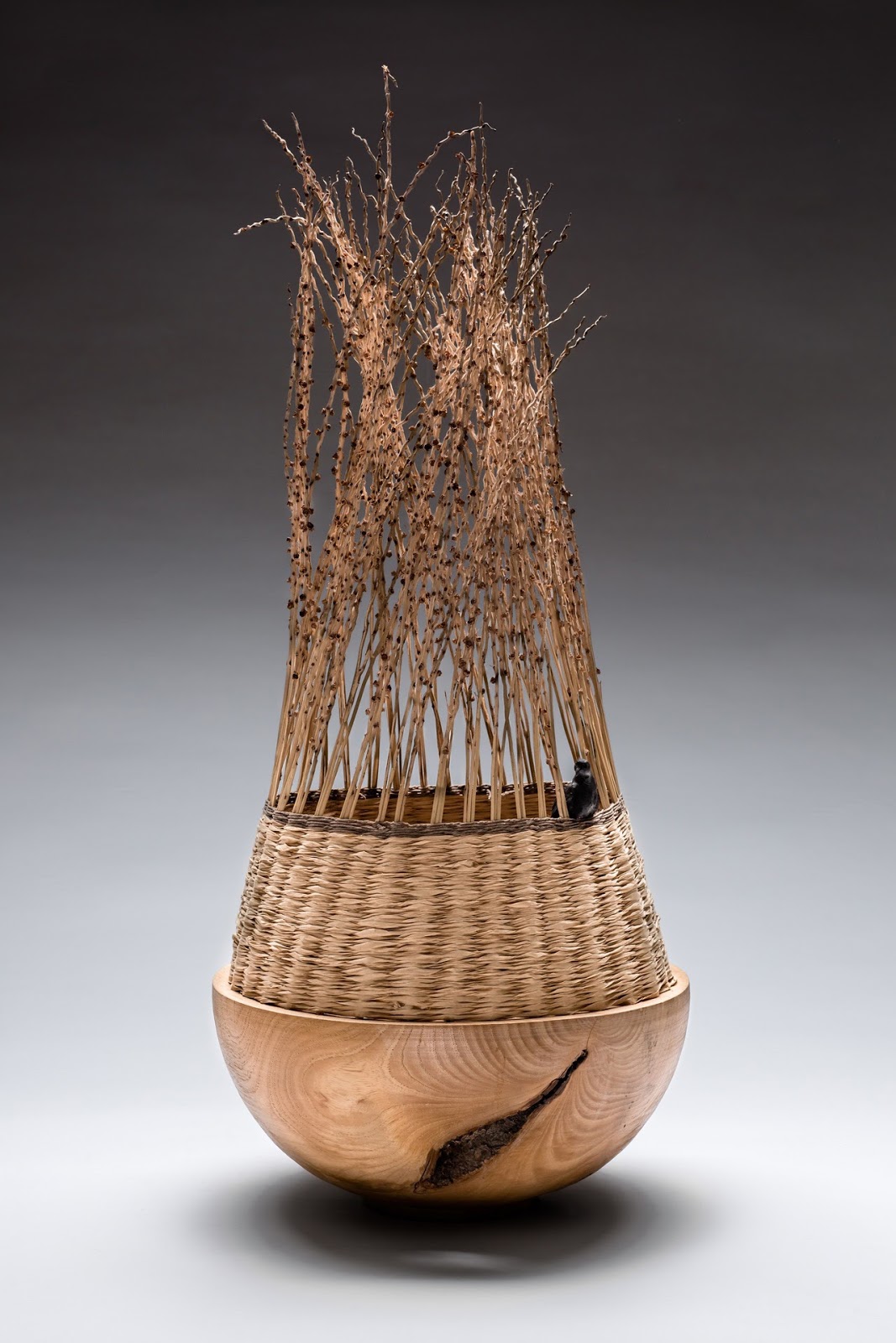 Contemporary Basketry All Things Considered 9 Basketry in the 21st