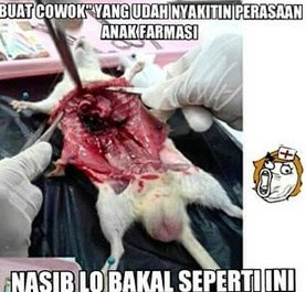 Download 87 Gambar Animasi Anak Farmasi Terbaru Download 87 Gambar Animasi Anak Farmasi Terbaru
