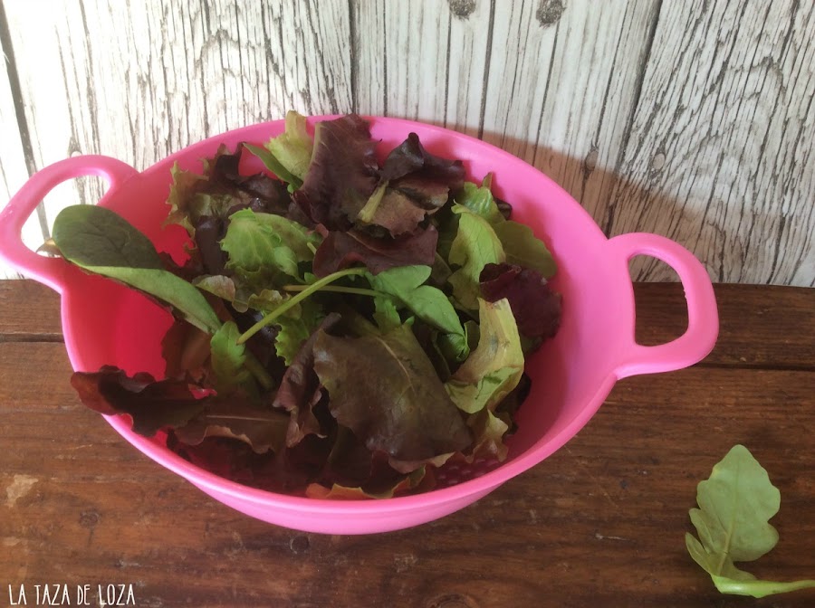 Hojas verdes para ensalada