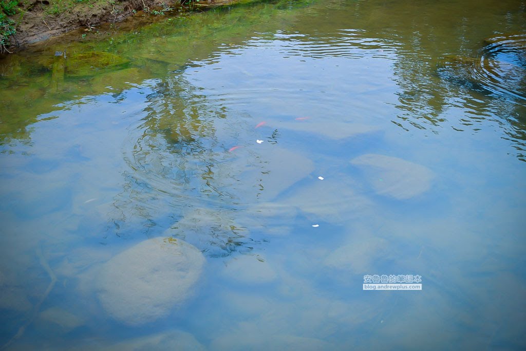 大溝溪親水公園,大溝溪生態防治園區,內湖草地野餐,內湖親子散步