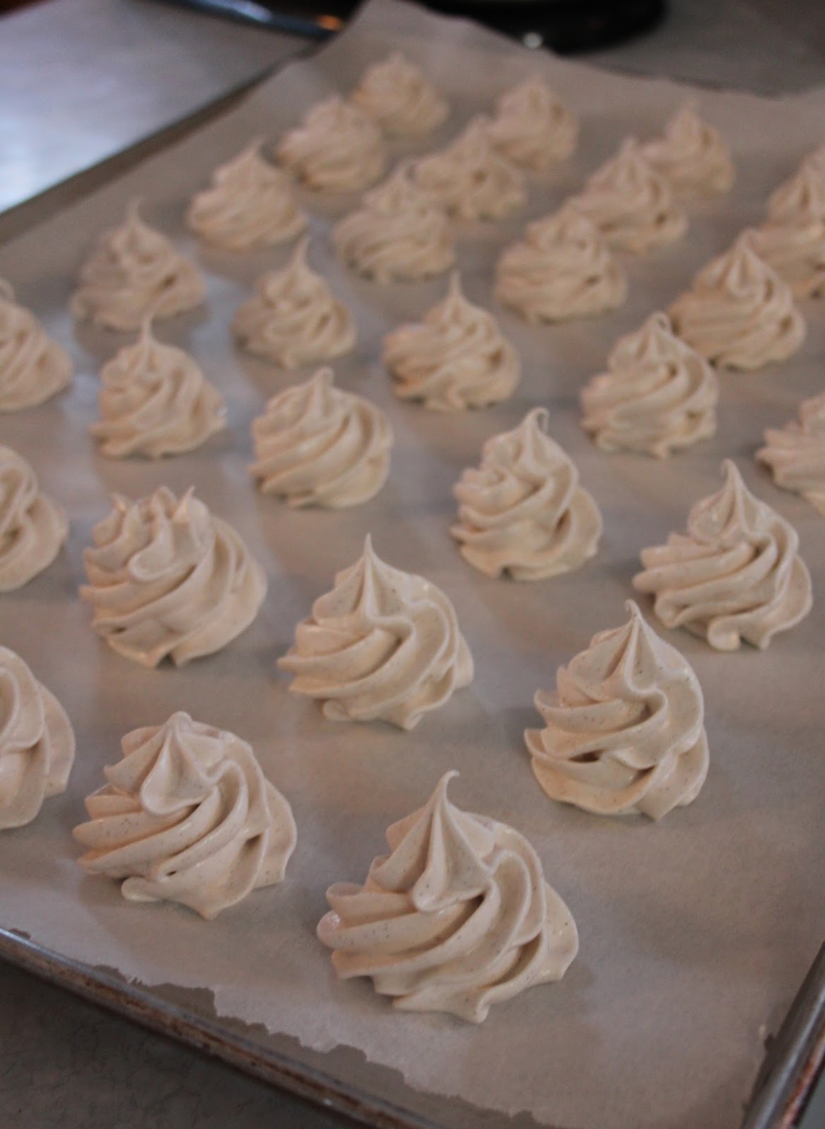 Jo and Sue Vanilla Bean and Cinnamon Meringues