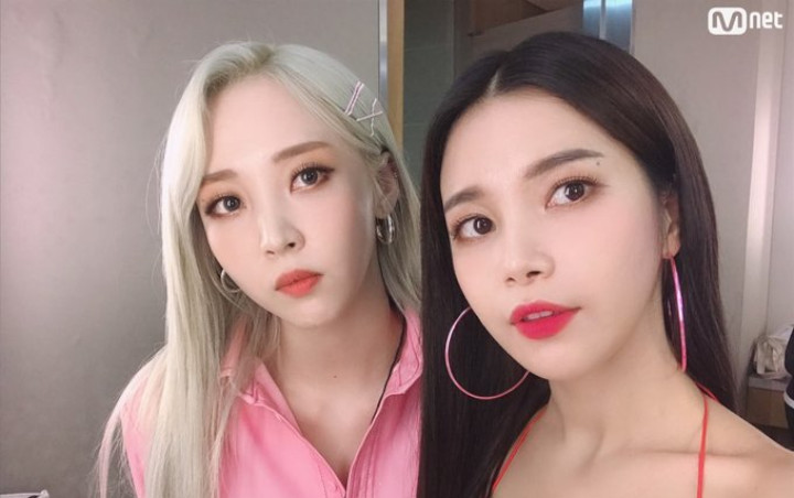 Solar - Moonbyul Mamamoo Blak-Blakan Wants to Fight Often Because of Trivia