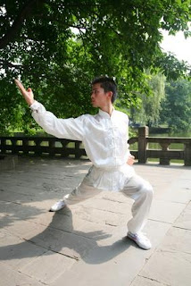 Kung Fu Striking Techniques