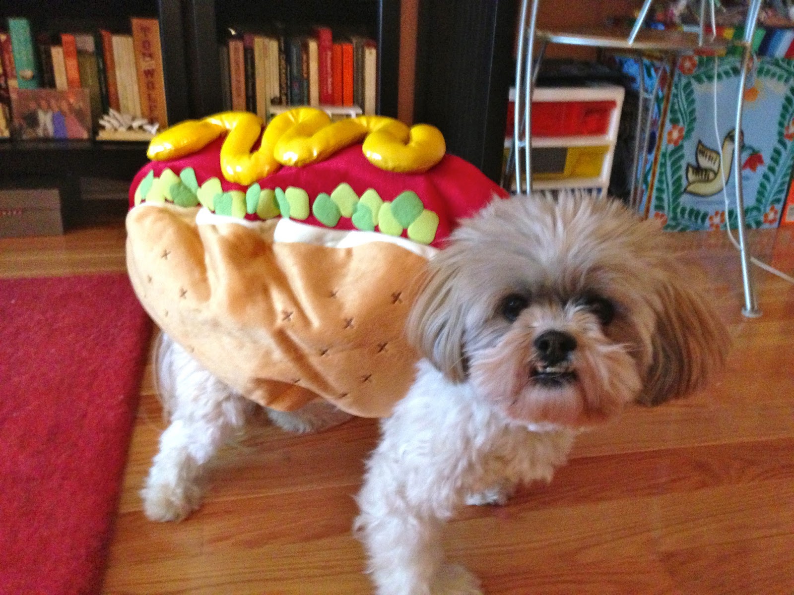 Nathan For You Hot Dog Costume Nathan For You Hot Dog Costume