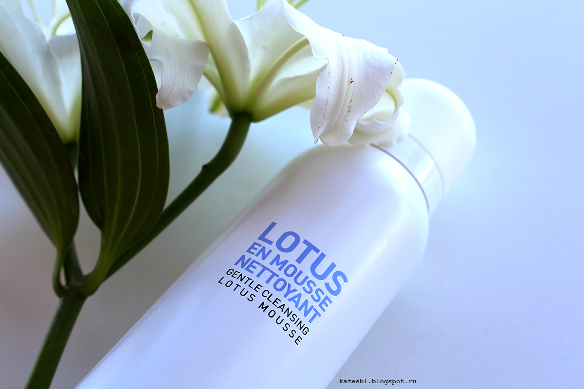 Kenzoki lotus water