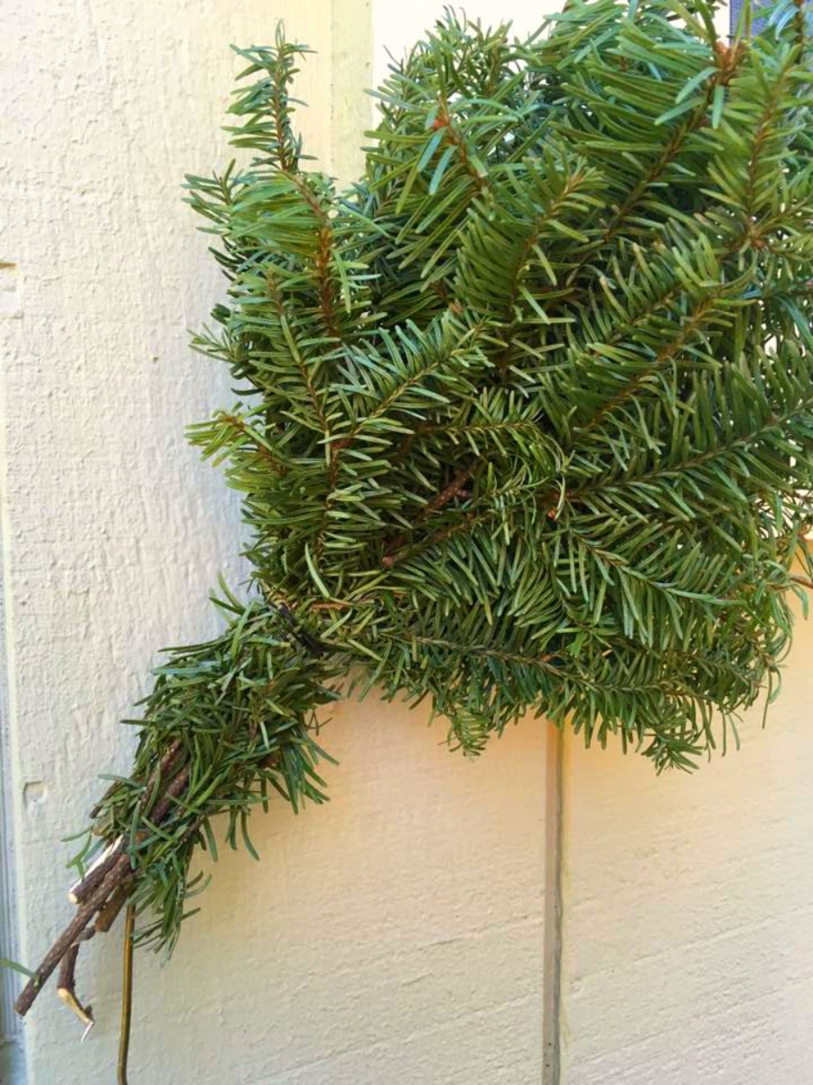 Shoestring Elegance Make Your Own Wreath From Your Christmas Tree