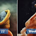 22 Stunning Pictures Depict The Stages Of A Baby Developing Before It Is Born